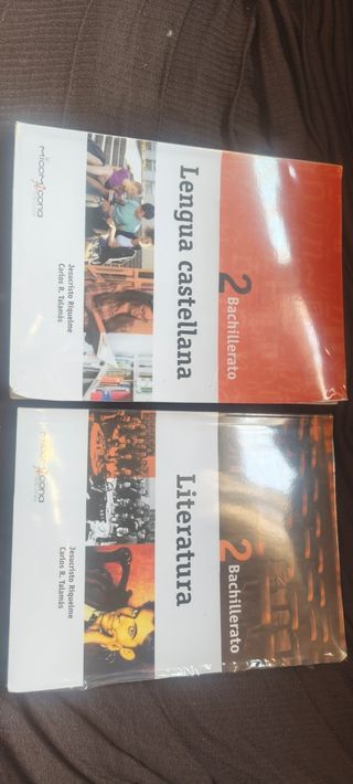 Lengua y literatura 