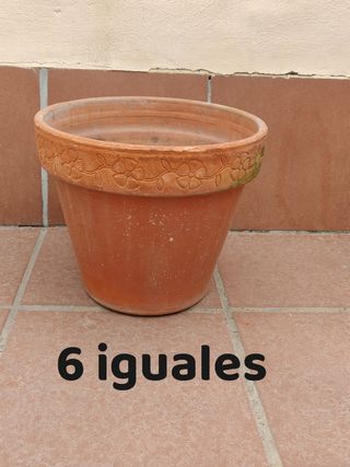 Macetas de terracota y plástico