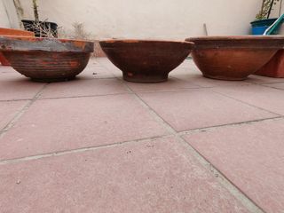 Macetas de terracota y plástico