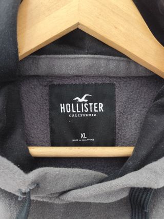 Sudadera Hollister Gris