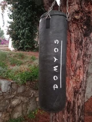 Saco de boxeo Domyos
