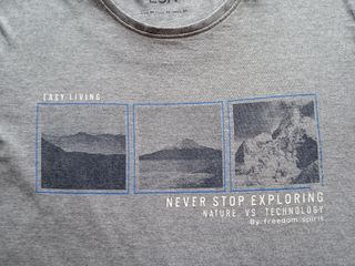 Camiseta LSN gris talla M