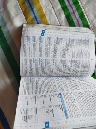 Diccionario Nivel Básico - Primaria (Spanish Ed...