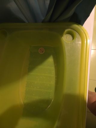 Bañera para bebé