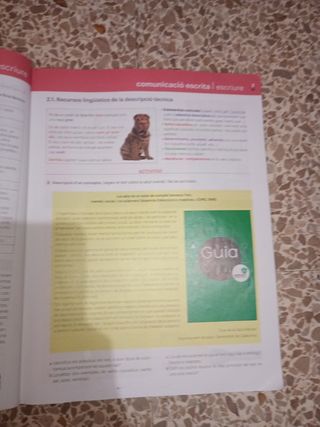 Llengua catalana i Literatura 1 ESO LOMLOE