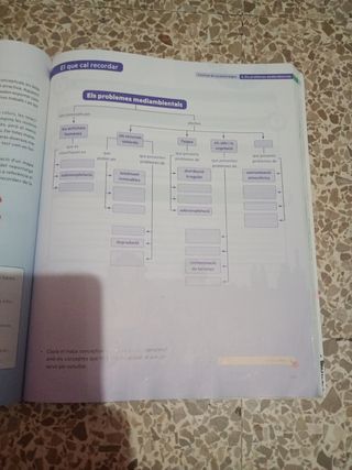 Octant 1. Geografia i Història 1 ESO