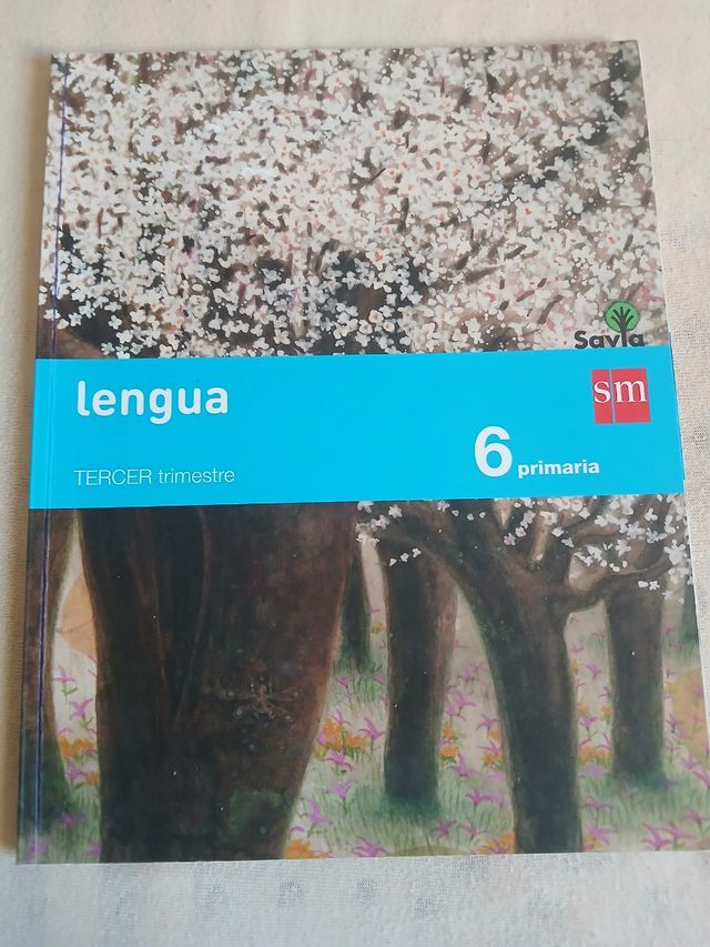 Lengua 6 primaria 3er trimestre