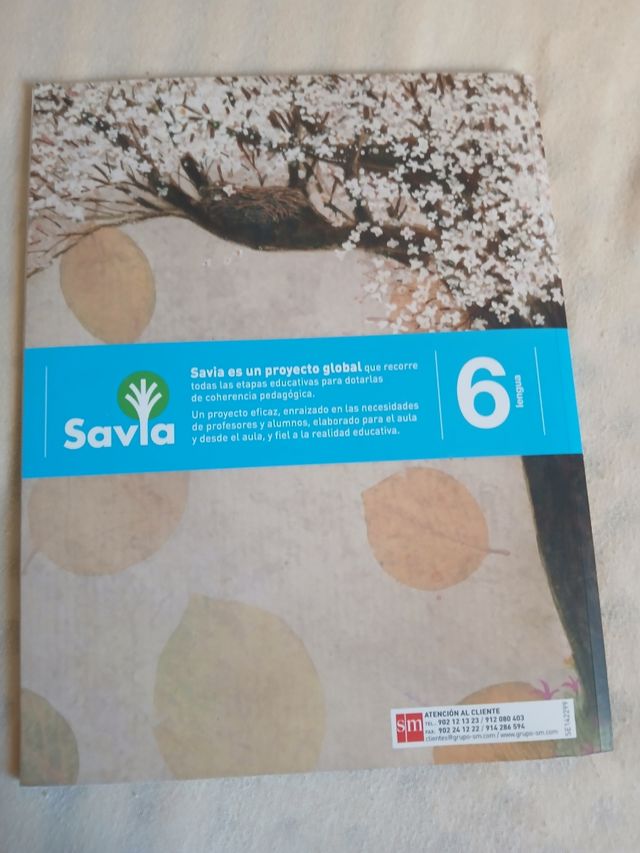 Lengua 6 primaria 3er trimestre