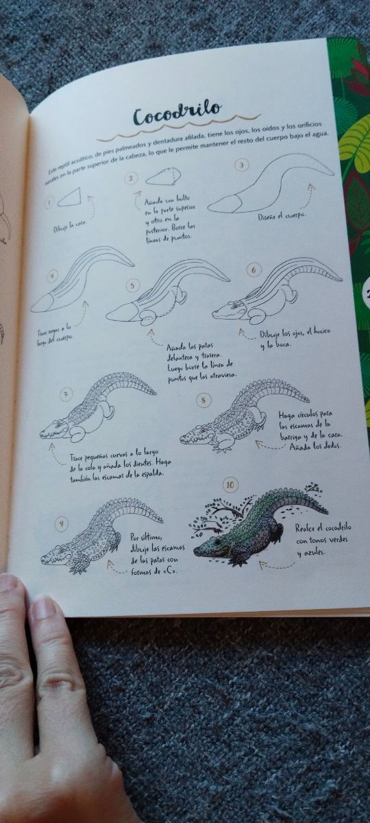 DIBUJAR ANIMALES EN 10 PASOS: COMO DIBUJAR 75 A...