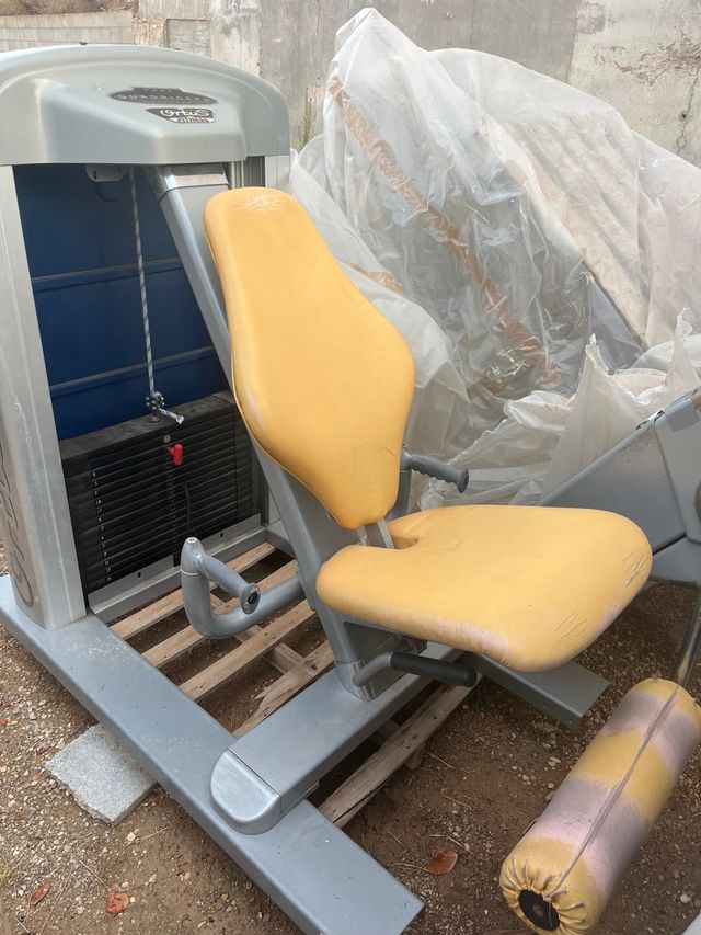 Extensión de cuádriceps Ortus Fitness