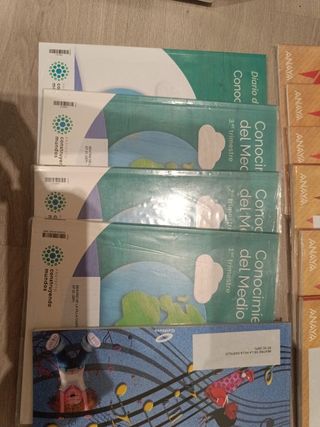 CUADERNO LENGUA PAUTA 2 PRIMARIA 2 TRIM CONSTRU...