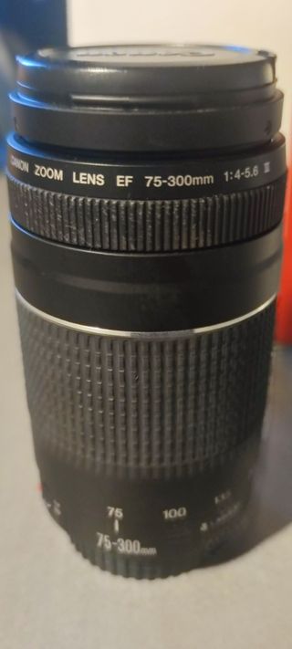 Canon EF 75-300mm Zoom Lens