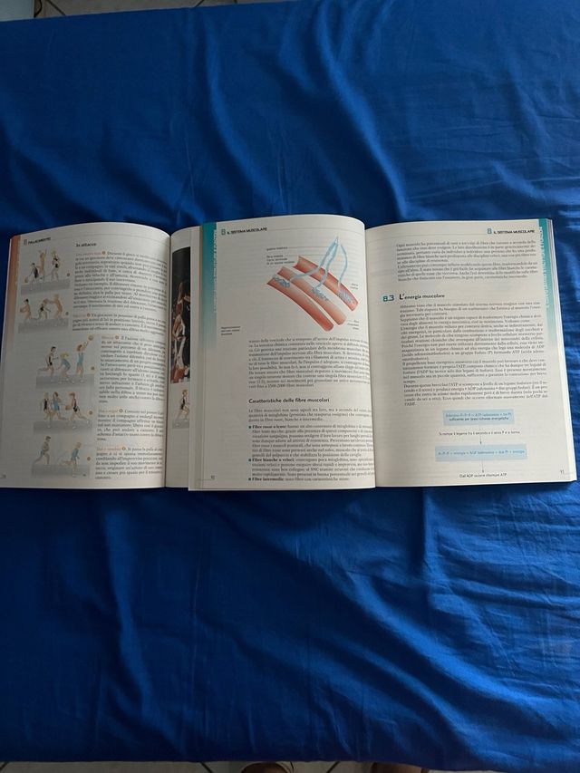 Nuovo praticamente sport.