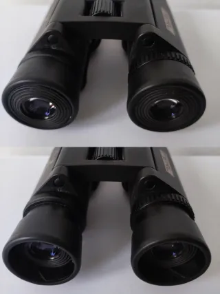 Binocolo compatto Perl Birdie 8x24