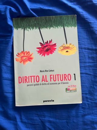 Diritto al futuro. Percorsi guidati di diritto ...