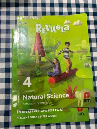LOTE  REVUELA cuarto de primaria, varios títulos