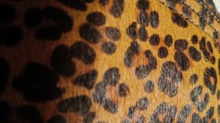 Bolso Bimba y Lola Animal Print