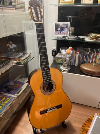 VENDO/CAMBIO Guitarra Palosanto Rafael Romero 2007