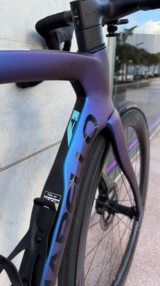 Pinarello Dogma F Azul Ed Limitada 51.5 S