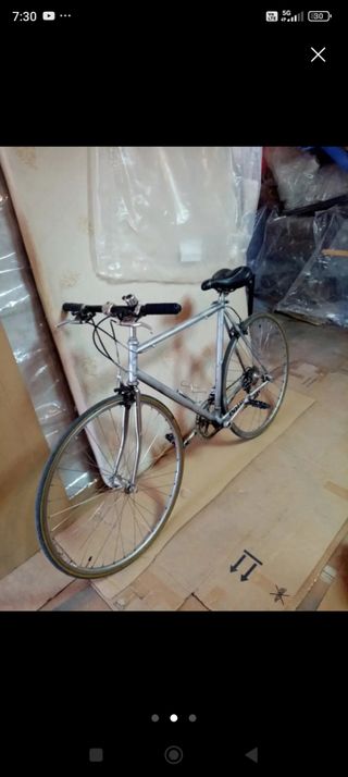 Bicicleta de paseo plateada