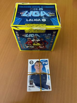 240 Cromos Liga Este 24/25 Panini