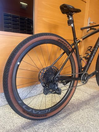 Bicicleta MTB Specialized ht entera de carbono