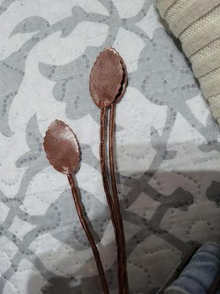 Mono corto azul con anclas