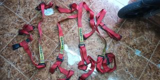 2 Cinturones Sabelt Rojos