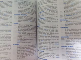 Diccionario de Primaria en lengua española