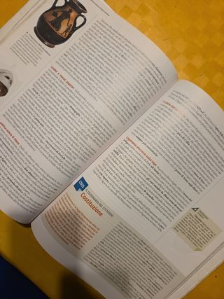 Lontani vicini. Dalla Preistoria all'età di Ces...