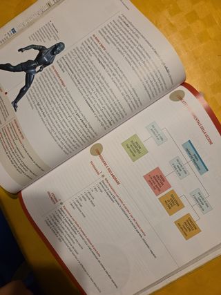 Lontani vicini. Dalla Preistoria all'età di Ces...