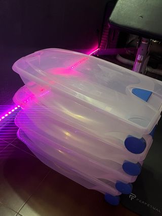 Cajas de almacenamiento de plástico transparente