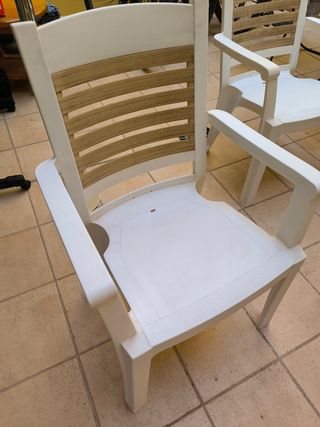 2 sedie da giardino in plastica e legno