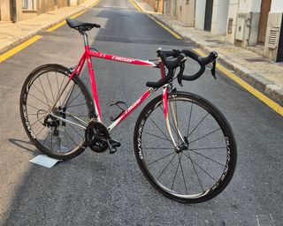 Moser Leader AX