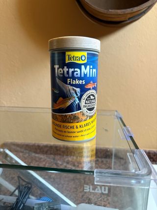 Kit Acuario BLAU 38L