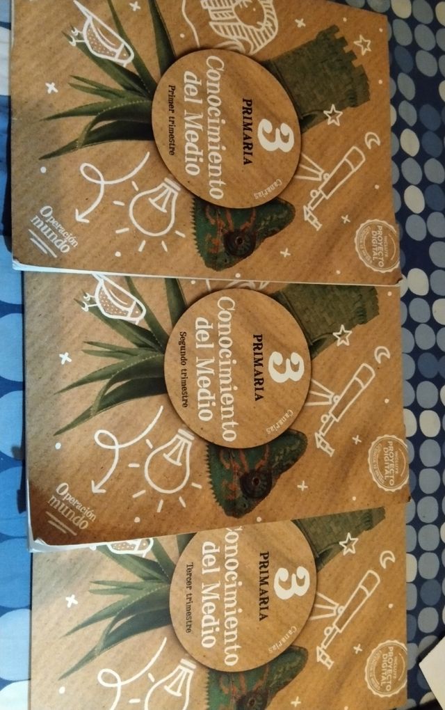 Libros de 3 primaria (cono)