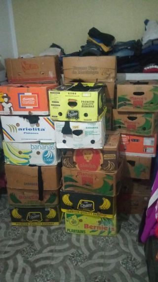 Lotes de calcetines y medias