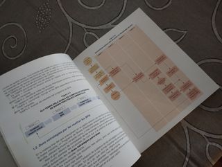 PBPA. Disseny i aplicació d'un programa de bone...