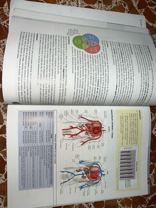 Anatomía aplicada
