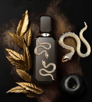 Perfume Veneno Frenc Avenue Negro y Dorado