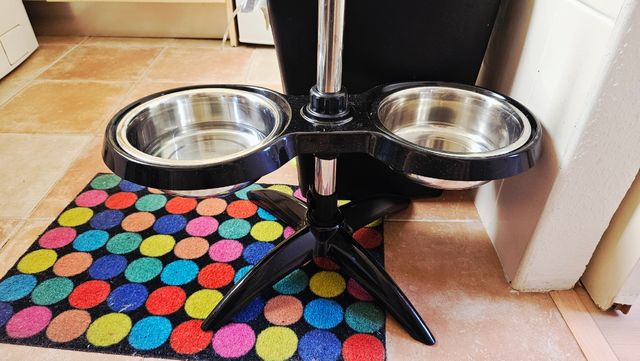 Comedero perro ajustable