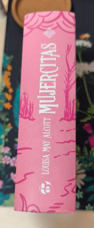 Orgullo y Prejuicio, Mujercitas, Anna Karenina y +