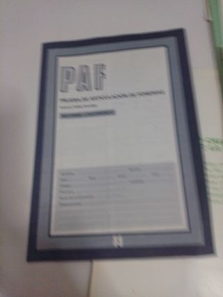 PRUEBA DE ARTICULACIÓN DE FONEMAS PAF