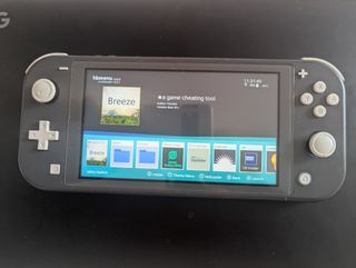 Nintendo Switch Lite Gris