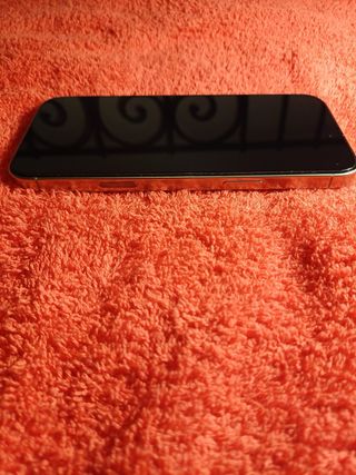 iPhone 16 Pro Max 256GB + Funda Apple Gris