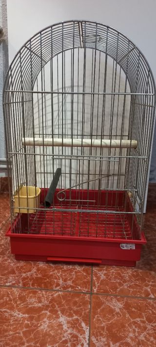 Jaula para loro