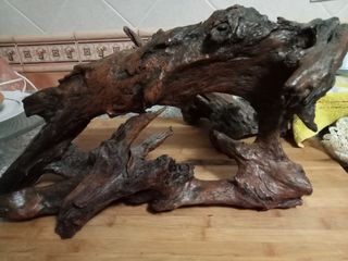 Troncos de olivo decorativos