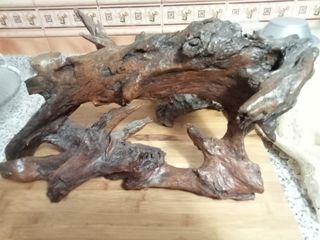 Troncos de olivo decorativos