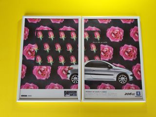 Peugeot 206 CC cuadro cartel publicidad