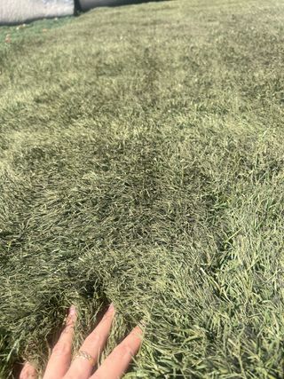 Césped artificial